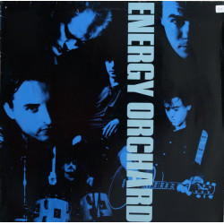 ENERGY ORCHARD - ENERGY ORCHARD