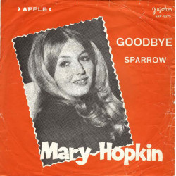 HOPKIN MARY   - GOODBYE/SPARROW