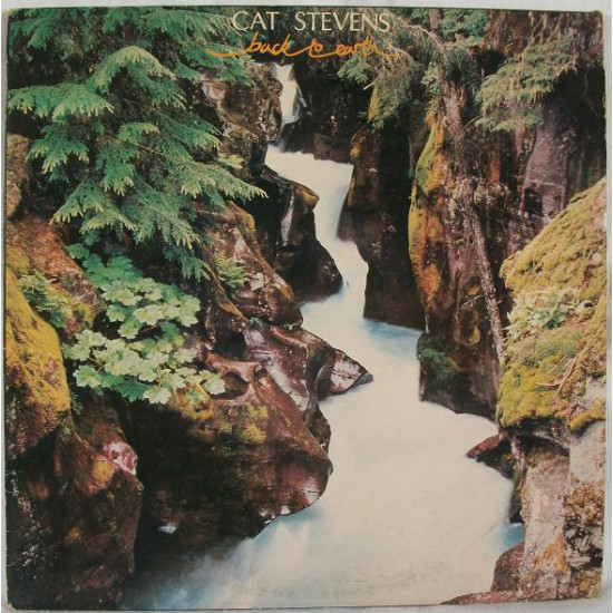 STEVENS CAT - BACK TO EARTH