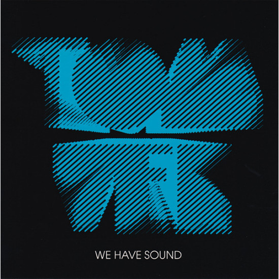 TOM VEK - WE HAVE SOUND