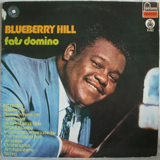 DOMINO FATS - BLUEBERRY HILL