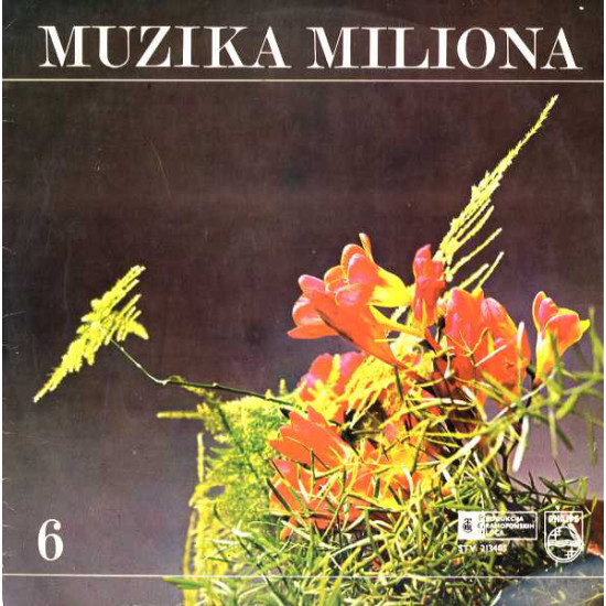 V.A. - MUZIKA MILIONA 6 /STRAUSS, LISZT../