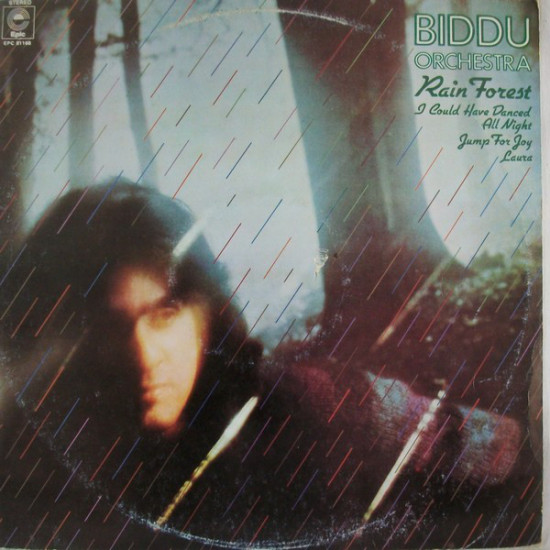 BIDDU ORCHESTRA - RAIN FOREST